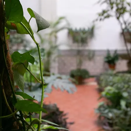 Apartment Con Sabor A Malaga